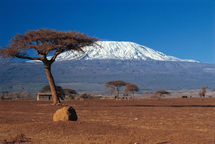 Kilimanjaro