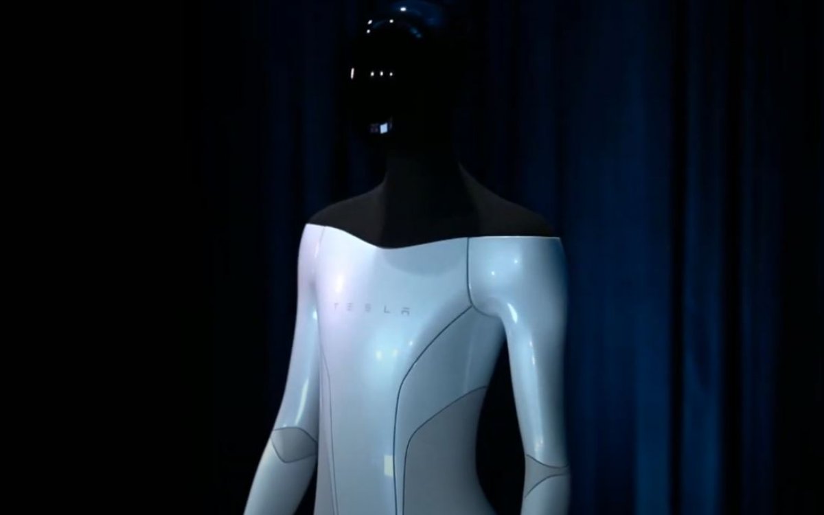 tesla bot