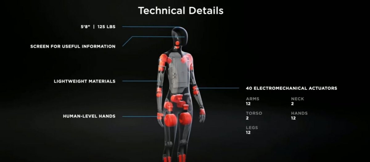tesla bot